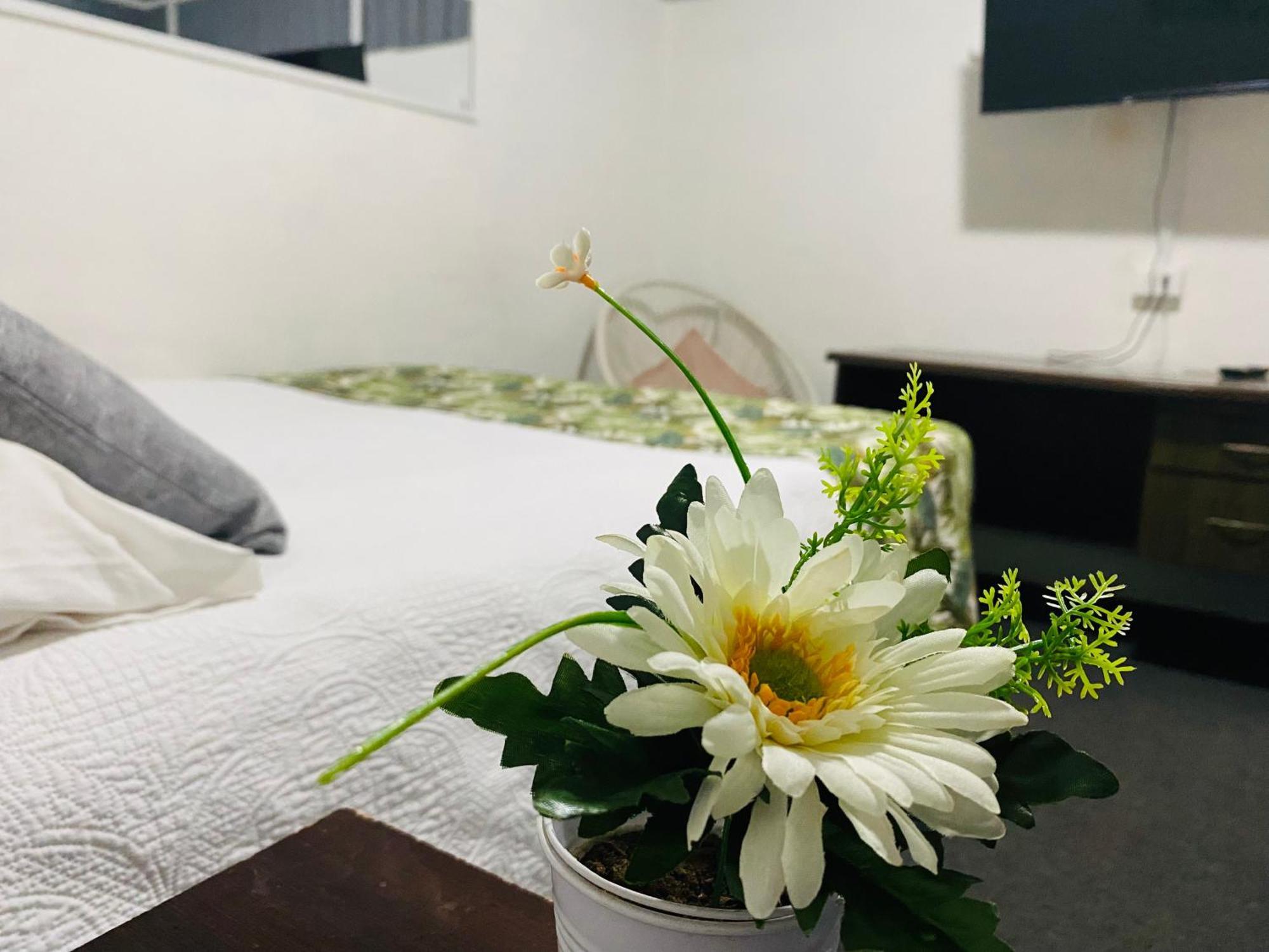 Hostal 3 Norte ซานอันโตนิโอ ภายนอก รูปภาพ