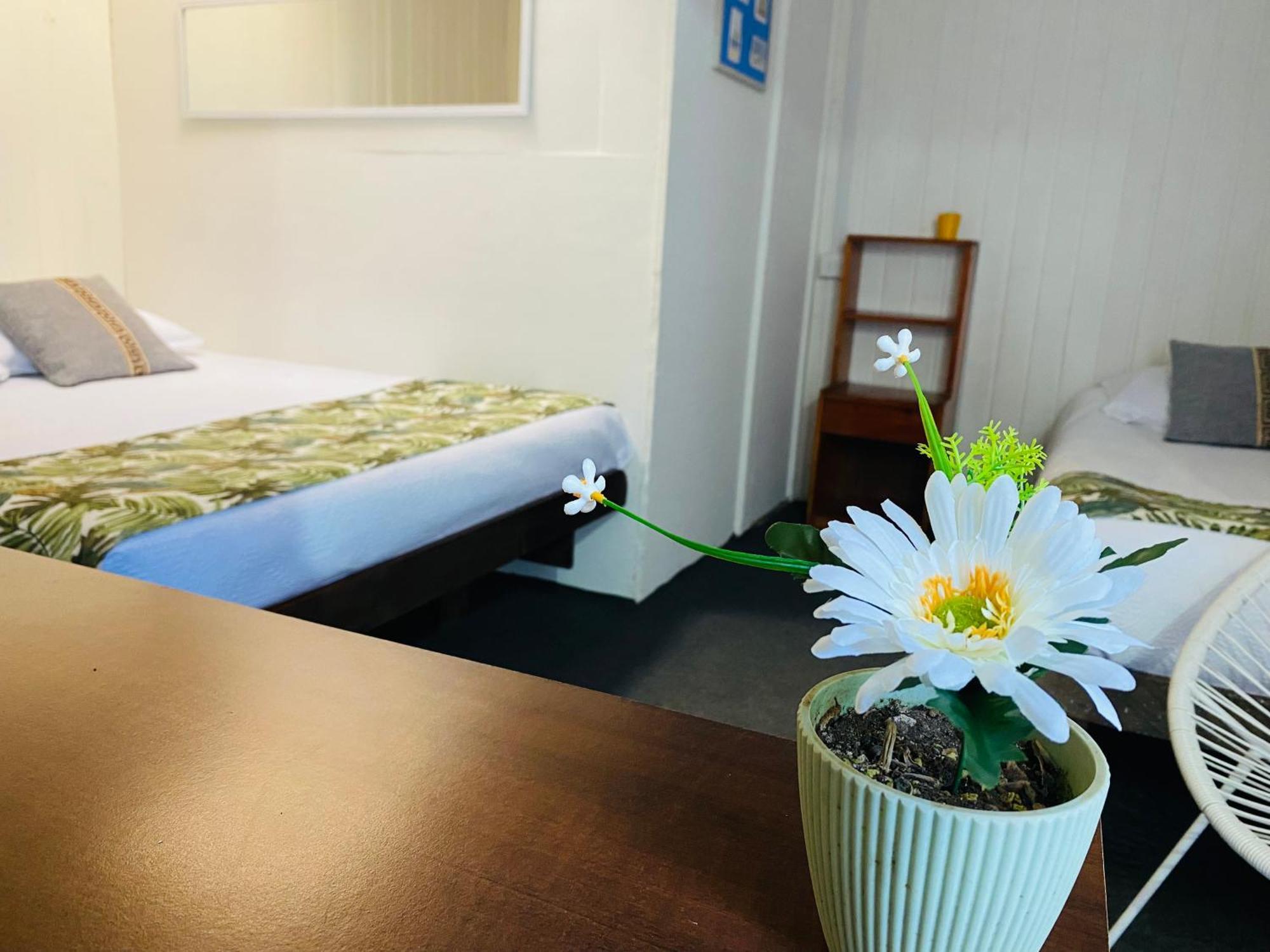 Hostal 3 Norte ซานอันโตนิโอ ภายนอก รูปภาพ